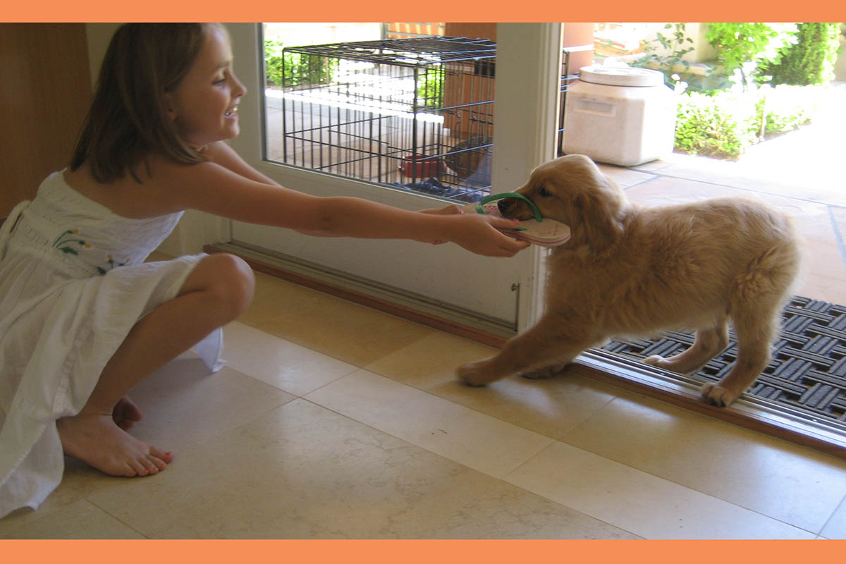 Beta and Amber in a tug-of-war